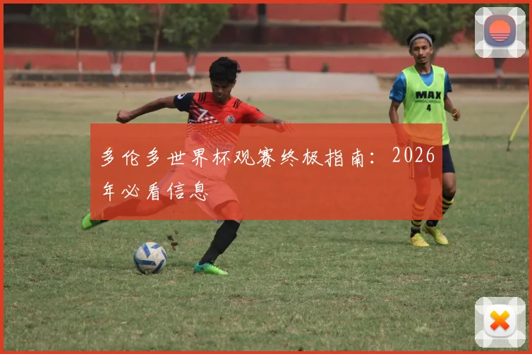 多伦多世界杯观赛终极指南：2026年必看信息