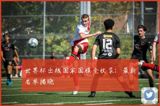 世界杯出线国家国旗全收录：最新名单揭晓