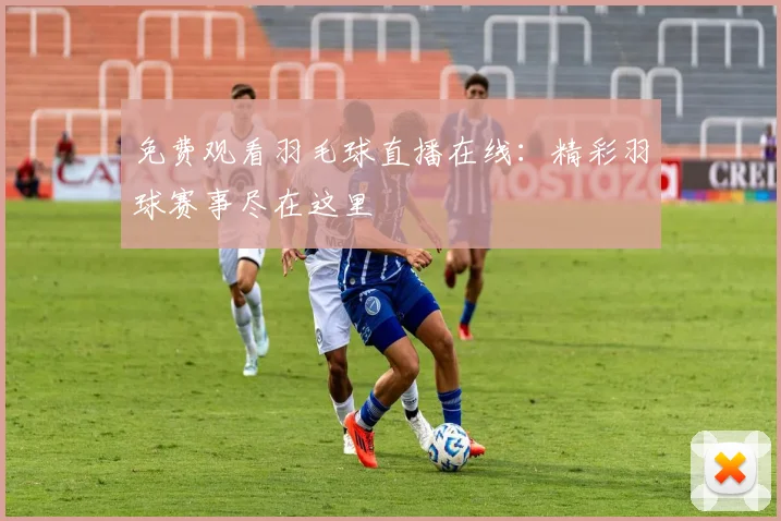 免费观看羽毛球直播在线：精彩羽球赛事尽在这里