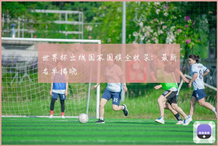 世界杯出线国家国旗全收录：最新名单揭晓
