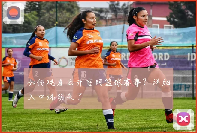 如何观看云开官网篮球赛事？详细入口说明来了